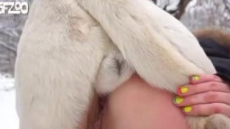 Зимняя зоо порнуха с собакой на природе