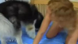 Лохматый собакен лижет письки девушкам