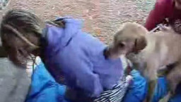 Женщина первый раз потрахалась с собакой качественная зоо порнушка